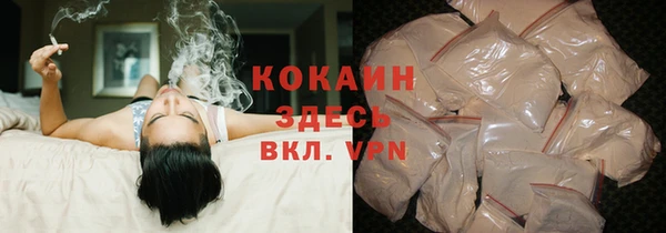 spice Алексин