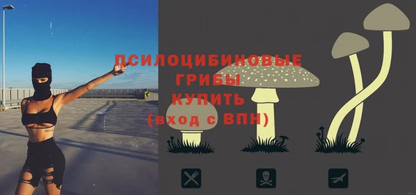 spice Алексин