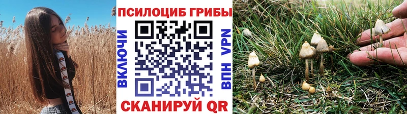 Псилоцибиновые грибы прущие грибы  Невьянск 
